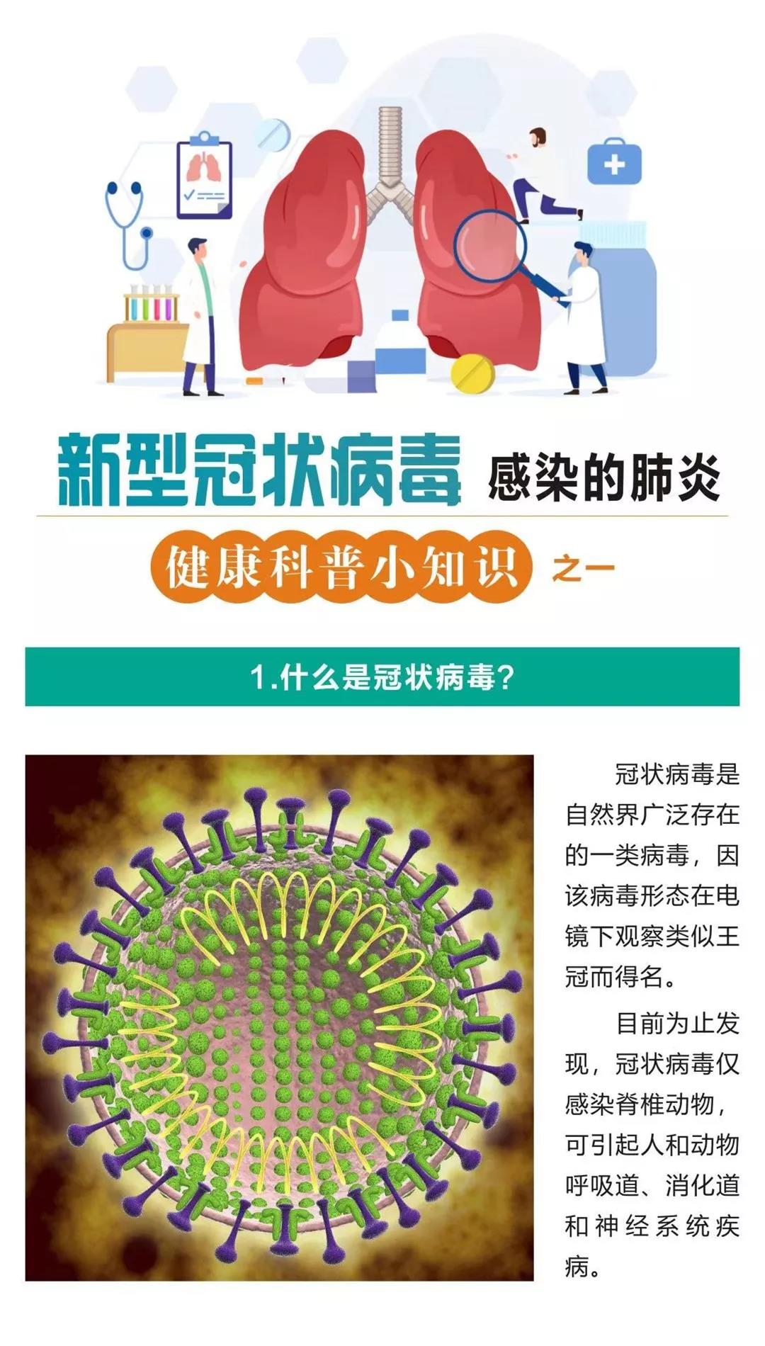 新型冠状病毒肺炎疫情分布图（每日更新）（含中国/全球/痊愈患者分布）（已更新自12月31日始全部数据 - 知乎